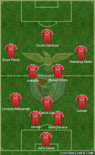 http://www.footballuser.com/formations/2013/05/705114_Sport_Lisboa_e_Benfica_-_SAD.jpg