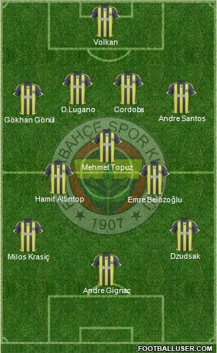 Fenerbahçe SK Formation 2010