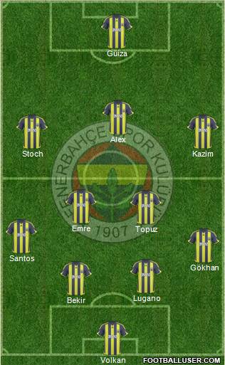 Fenerbahçe SK Formation 2010