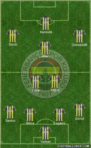 Fenerbahçe SK Formation 2010