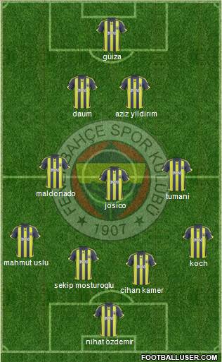 Fenerbahçe SK Formation 2010