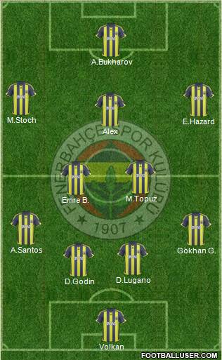 Fenerbahçe SK Formation 2010