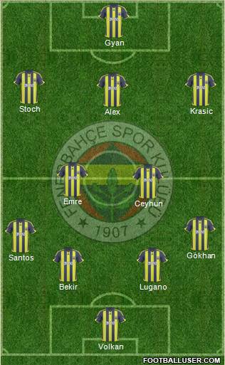 Fenerbahçe SK Formation 2010