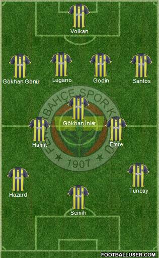 Fenerbahçe SK Formation 2010