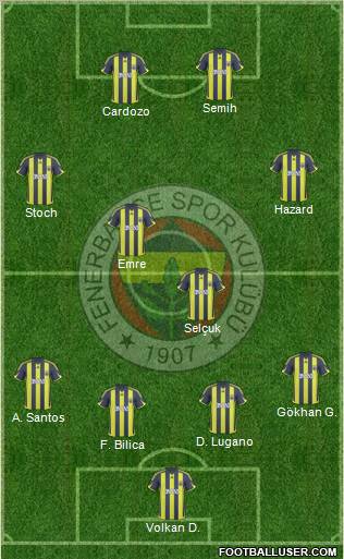 Fenerbahçe SK Formation 2010