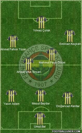 Fenerbahçe SK Formation 2010