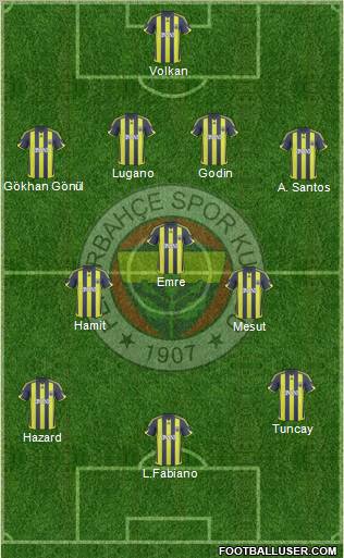 Fenerbahçe SK Formation 2010