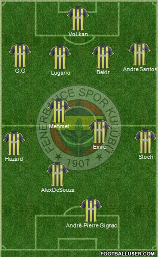 Fenerbahçe SK Formation 2010