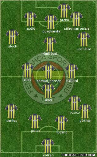 Fenerbahçe SK Formation 2010