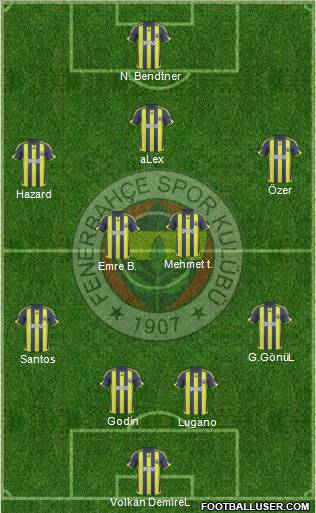 Fenerbahçe SK Formation 2010