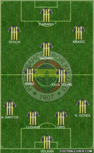 Fenerbahçe SK Formation 2010