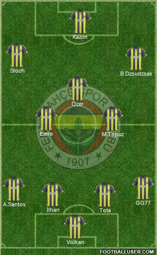 Fenerbahçe SK Formation 2010