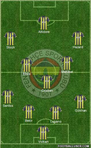 Fenerbahçe SK Formation 2010