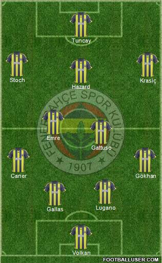 Fenerbahçe SK Formation 2010