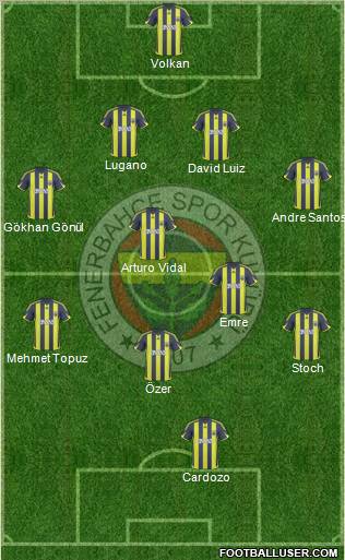 Fenerbahçe SK Formation 2010