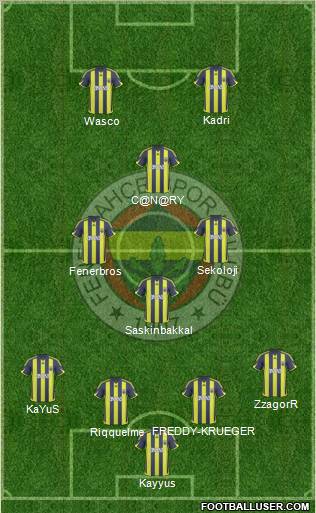 Fenerbahçe SK Formation 2010