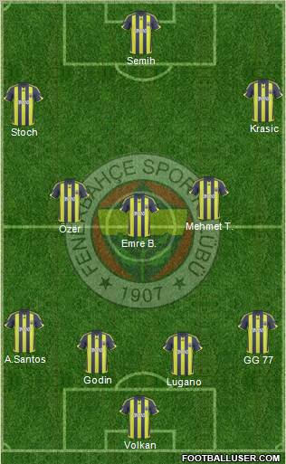 Fenerbahçe SK Formation 2010