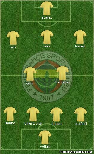 Fenerbahçe SK Formation 2010