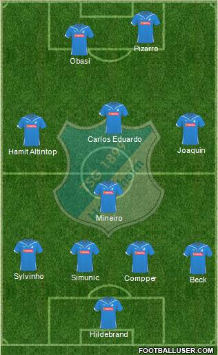 TSG 1899 Hoffenheim Formation 2010