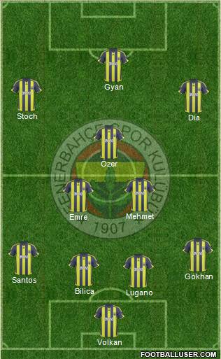 Fenerbahçe SK Formation 2010