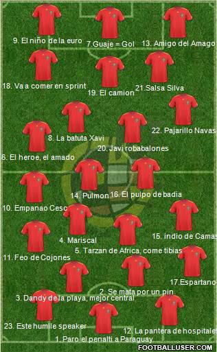 Spain Formation 2010