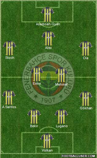 Fenerbahçe SK Formation 2010