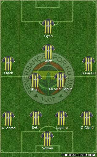 Fenerbahçe SK Formation 2010