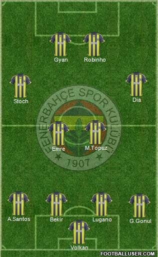 Fenerbahçe SK Formation 2010