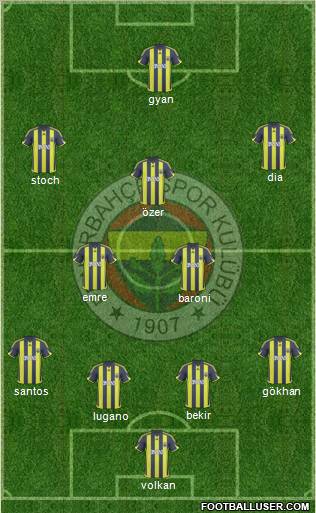 Fenerbahçe SK Formation 2010