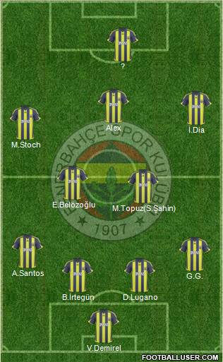 Fenerbahçe SK Formation 2010