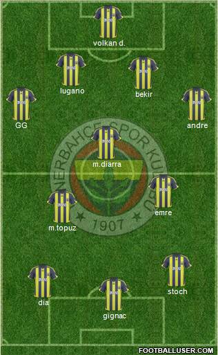 Fenerbahçe SK Formation 2010