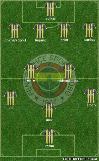 Fenerbahçe SK Formation 2010