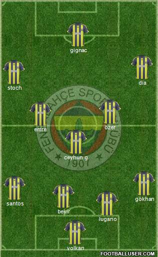 Fenerbahçe SK Formation 2010