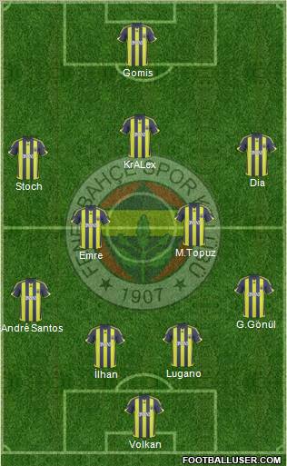 Fenerbahçe SK Formation 2010