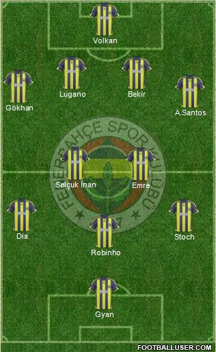 Fenerbahçe SK Formation 2010