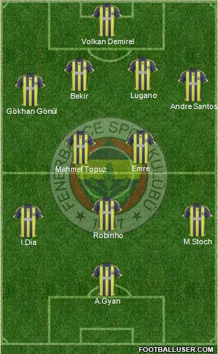 Fenerbahçe SK Formation 2010