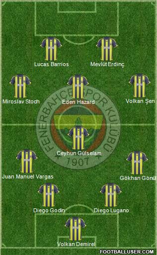 Fenerbahçe SK Formation 2010