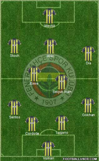 Fenerbahçe SK Formation 2010