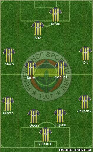 Fenerbahçe SK Formation 2010