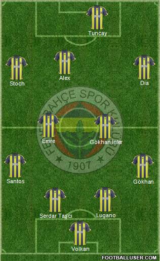 Fenerbahçe SK Formation 2010