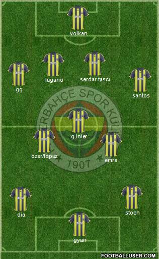 Fenerbahçe SK Formation 2010