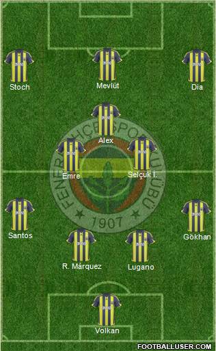 Fenerbahçe SK Formation 2010