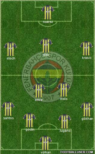 Fenerbahçe SK Formation 2010