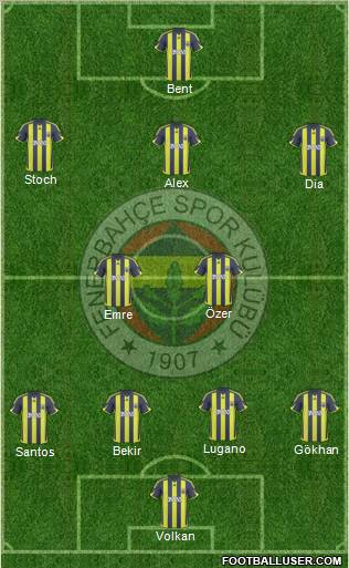 Fenerbahçe SK Formation 2010