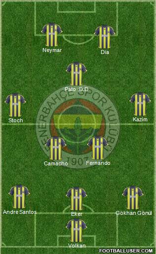 Fenerbahçe SK Formation 2010