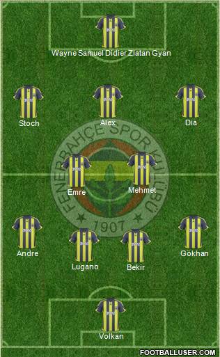 Fenerbahçe SK Formation 2010