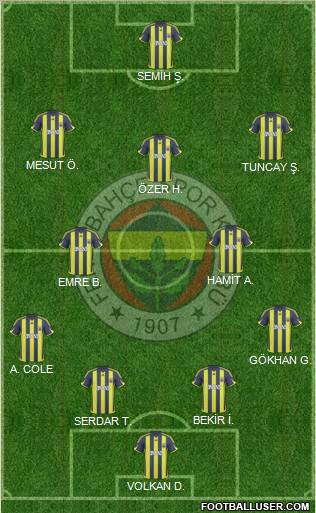 Fenerbahçe SK Formation 2010