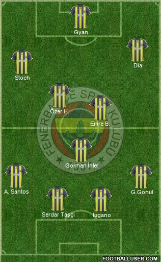 Fenerbahçe SK Formation 2010