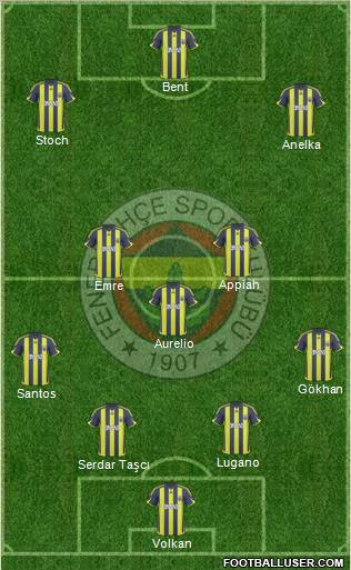 Fenerbahçe SK Formation 2010