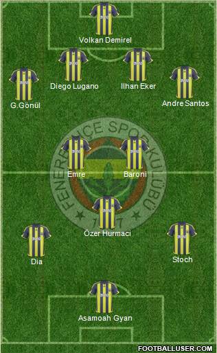 Fenerbahçe SK Formation 2010